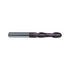 Carbide End Mill 2F Radius Extra Long