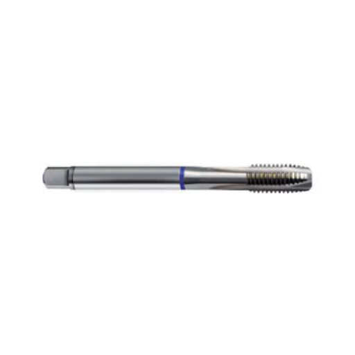 Machine Tap (M12-M22) HSS-E-PM DIN376, 73643